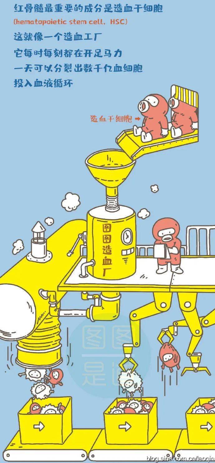 探究三角形内角和的奥秘 数学类科技展品科普器材教学仪器解析
